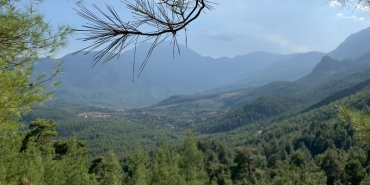 yavuzone