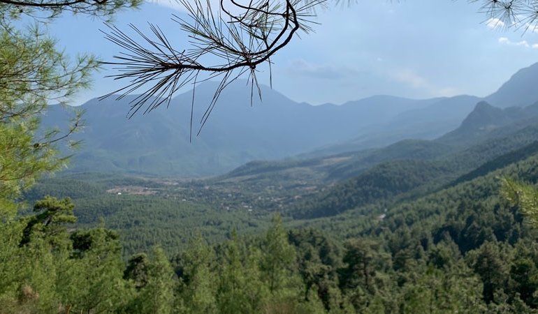 Kemer’de 100 dekarlık orman arazisinde yapılaşma izni!