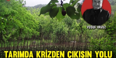 yusuf-yavuz-kap