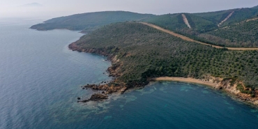 deniz-one