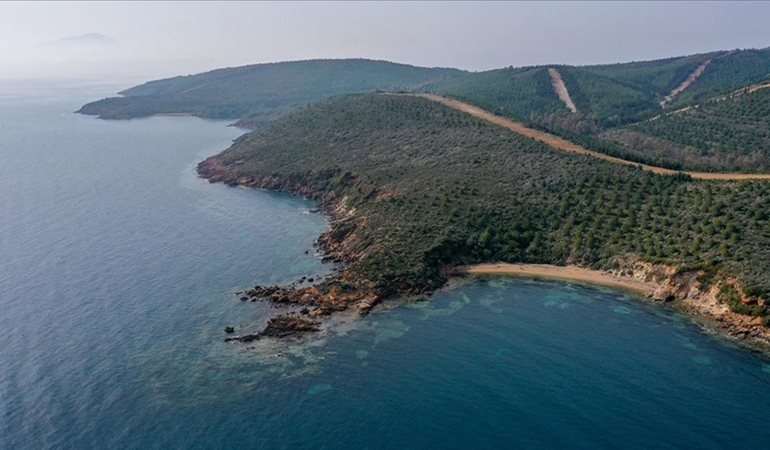 Yağma planında yeni perde… Deniz kıyısındaki ormanlık alanlar turizme açıldı!