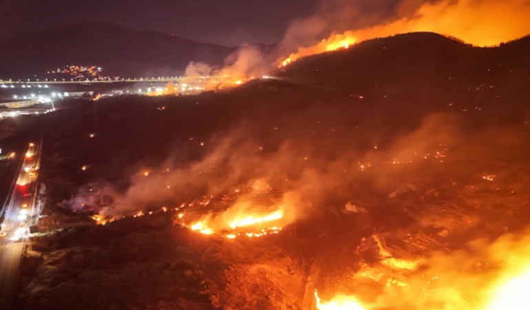 İzmir’de orman yangını