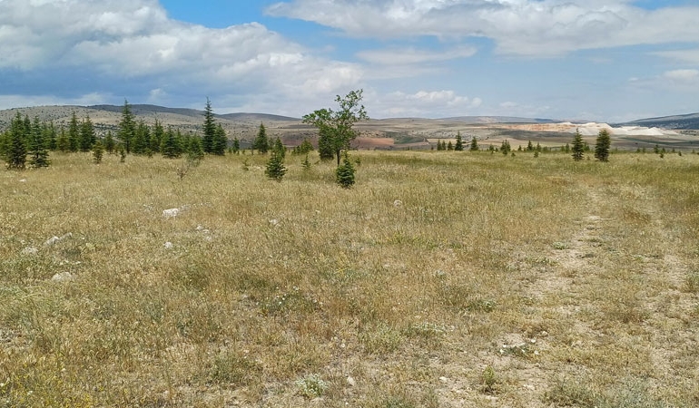 Taş ocağı şehit mezarlığına dayandı: Yahnitepe için şehitlik talebi