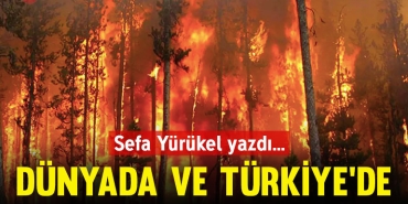 dunyada-tr-de-orman-yanginlari