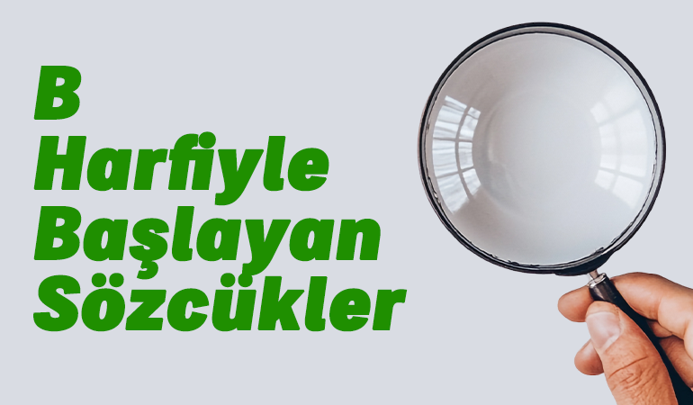 B harfi ile başlayan hayvan, şehir, ülke, isim, eşya, bitki, çiçek, meyve, kuş ve ünlü (artist) isimleri