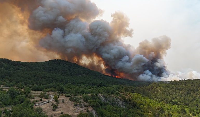 Saray’da orman yangınlarıyla mücadele toplantısı