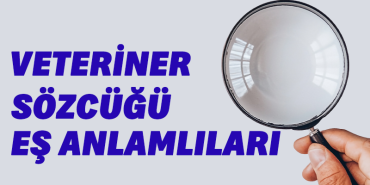veteriner