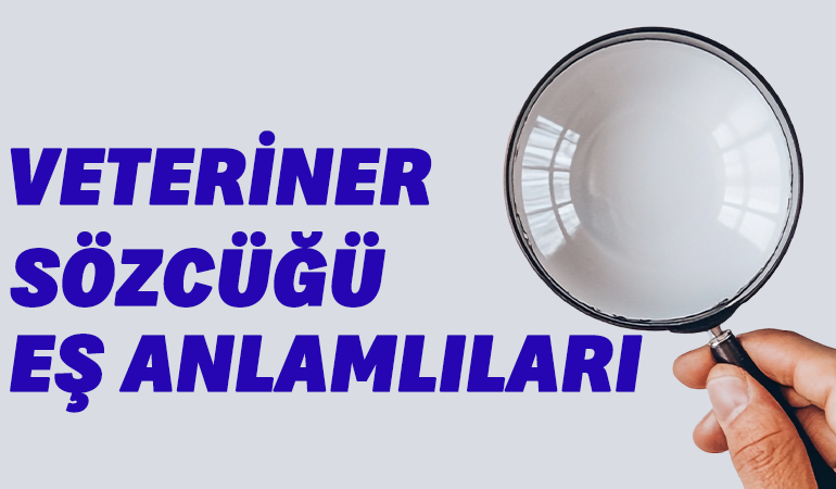 Veteriner kelimesinin eş anlamlısı nedir? Veterinerin eş anlamlısı