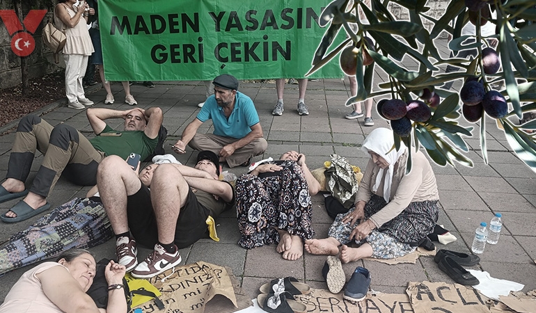 Dışarıda açlık grevi, Meclis’te kürsü işgali… Tartışmalı zeytinlik yasası kabul edildi!