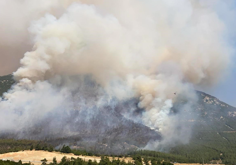 Pamukkale’deki orman yangınında son durum