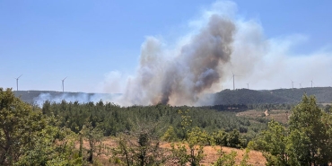 canakkale-orman-yangini