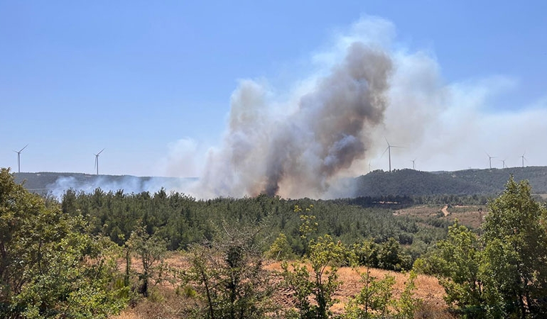 Çanakkale’de yine orman yangını… Kazdağları uyarısı geldi!