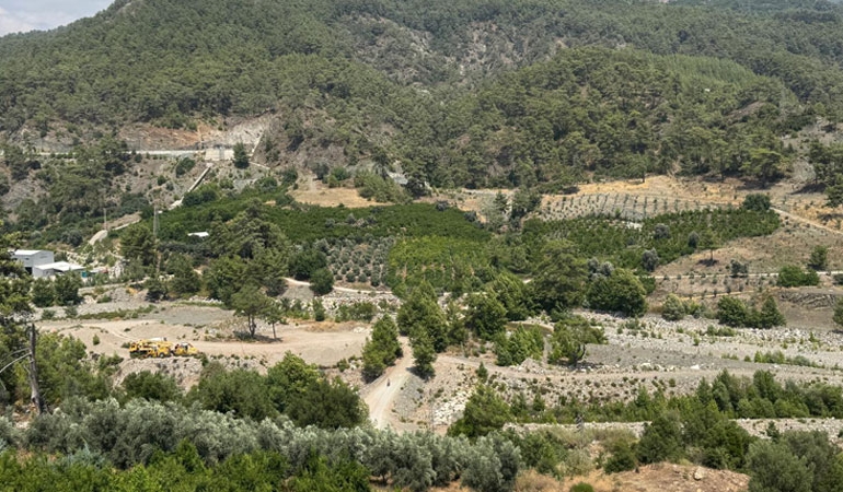 gesyavuzonne