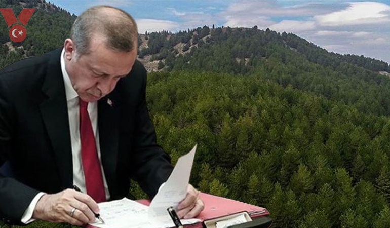 Erdoğan’ın kararıyla 2 şehirde bazı alanlar orman sınırları dışına çıkartıldı