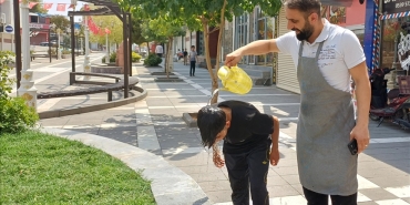 sicaklik