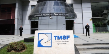 tmsf