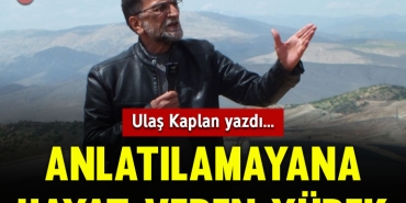 ulasson