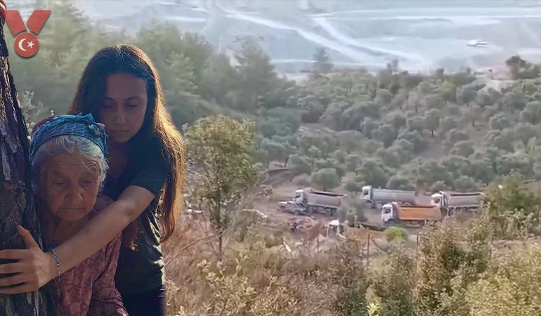 Bir yanda Zehra Nine’nin acısı, diğer yanda rant kıyımı: Akbelen’e dozerlerle girdiler!