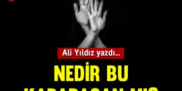 alikapak2