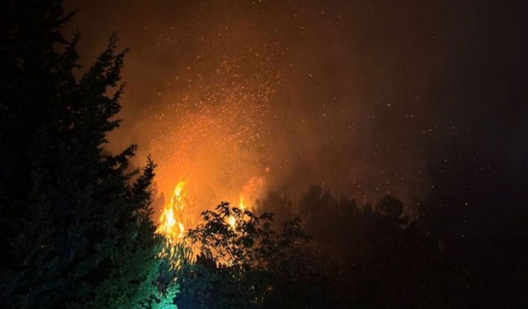 Beykoz’da orman yangını