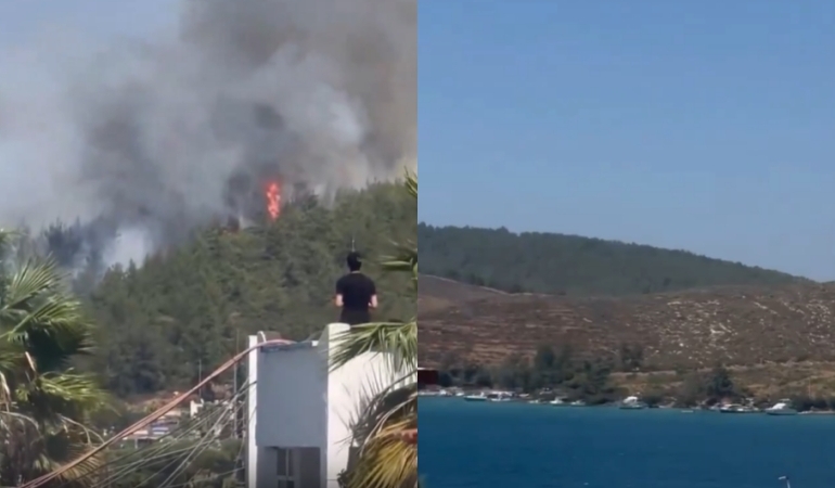 Bodrum’da orman yangını