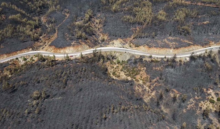Muğla’da yangından zarar gören alanlar havadan görüntülendi