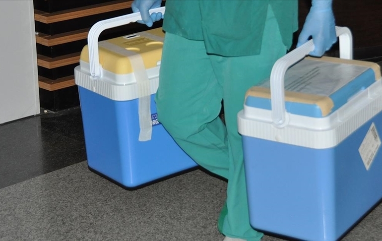organ-bagisi