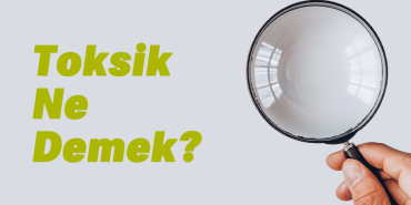 toksik-ne-demek