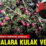yavuzkapak
