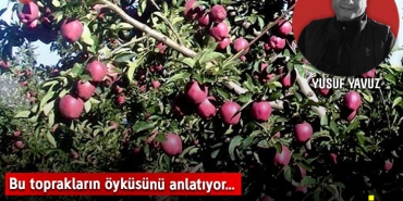 yavuzkapak