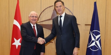 gulerrutte