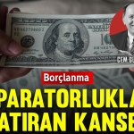 gurdeniz2311