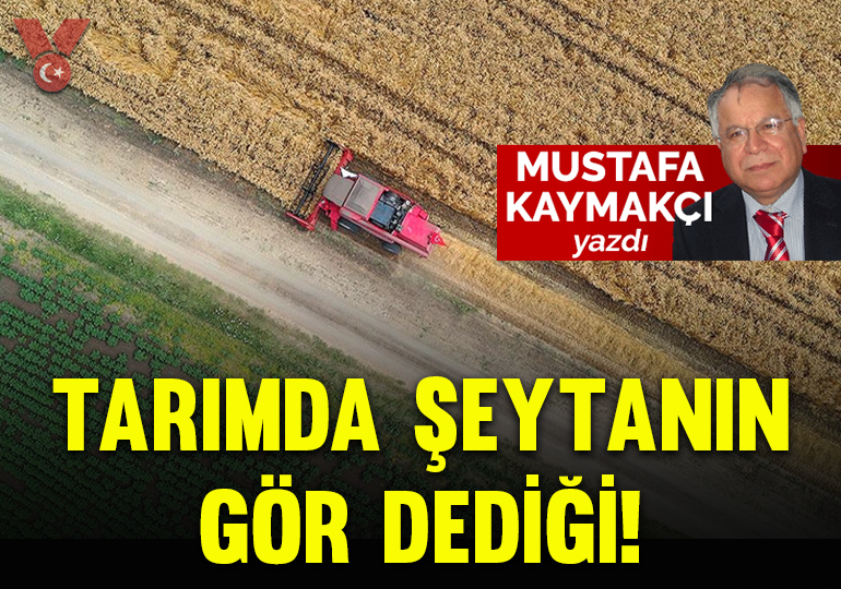 Tarımda şeytanın gör dediği!