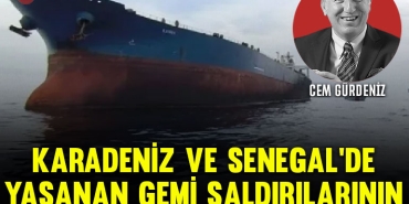 cemgurdeniz0712