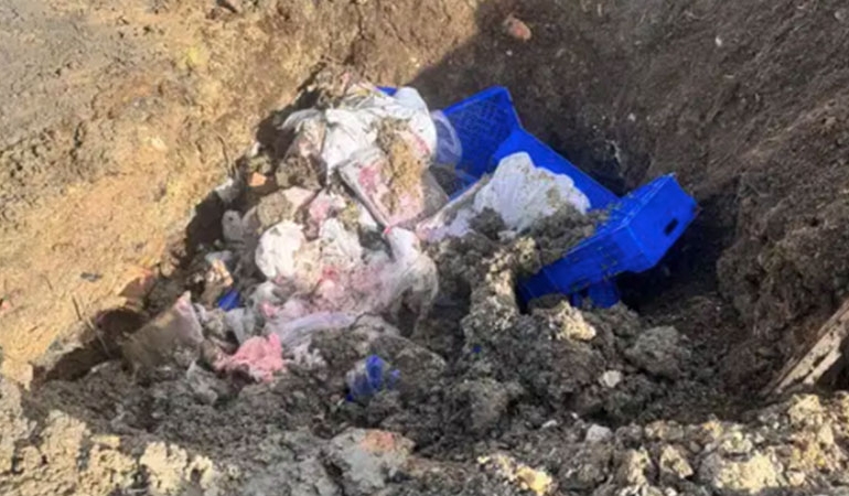 Satışa sunulan 300 kilo et gömülerek imha edildi!
