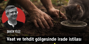 filizkedikapak