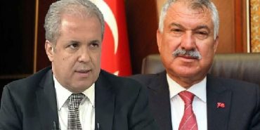 zeydansamiltayyar