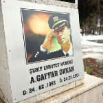 GAFFARONE