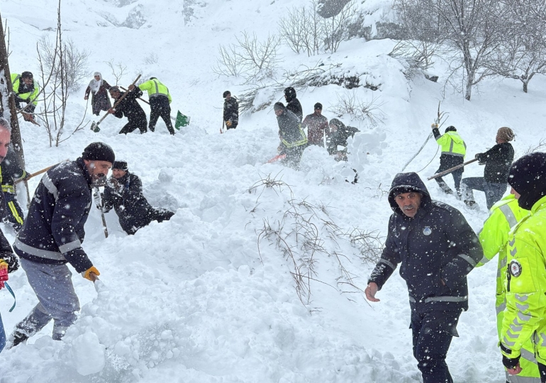 Van'da düşen çığın altında kalan kadın için arama çalışmaları başlatıldı