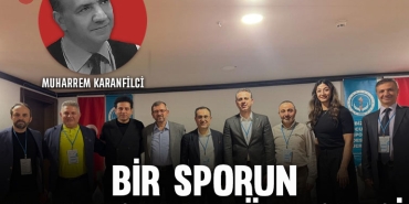 karanfilcikapak56
