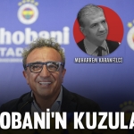 karanfilcichobani
