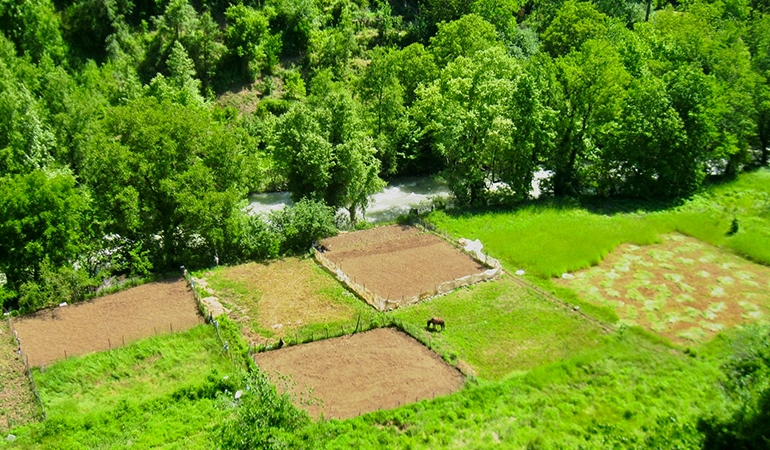 Tarımda geniş tabanlı örgütlenme adımı