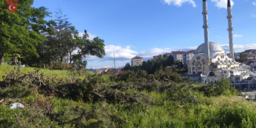 keciiorenone
