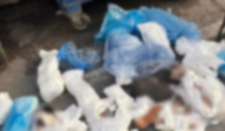 İzmir’de 33 yavru kedinin ölü bulunmasında yeni gelişme