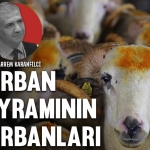 kurban