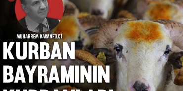 kurban