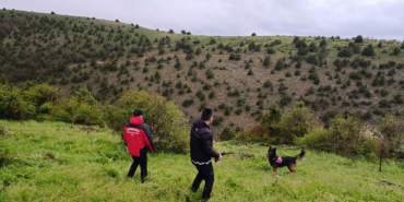 yayla