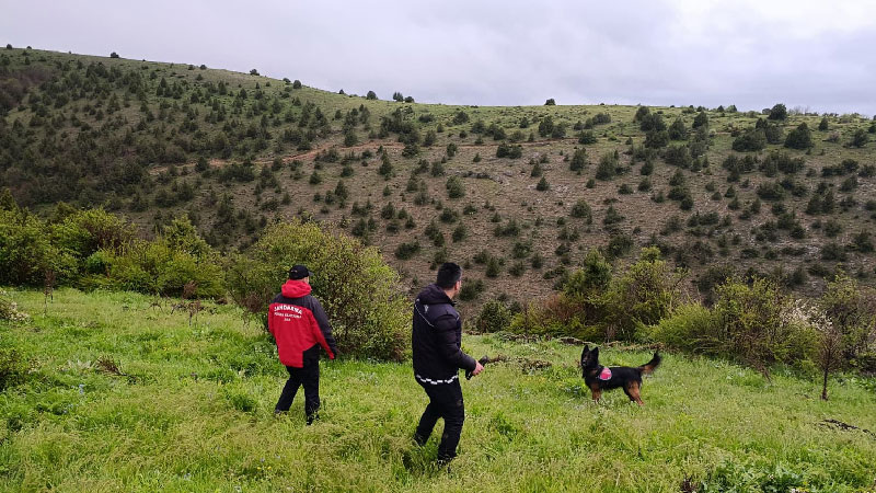 featured