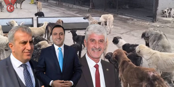 baskanlar