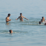 deniz-anka
